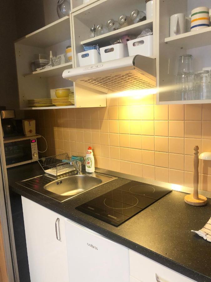 Lägenhet City Loft And Studio Prag
